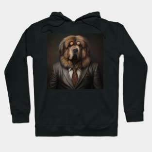 Tibetan Mastiff Dog in Suit Hoodie